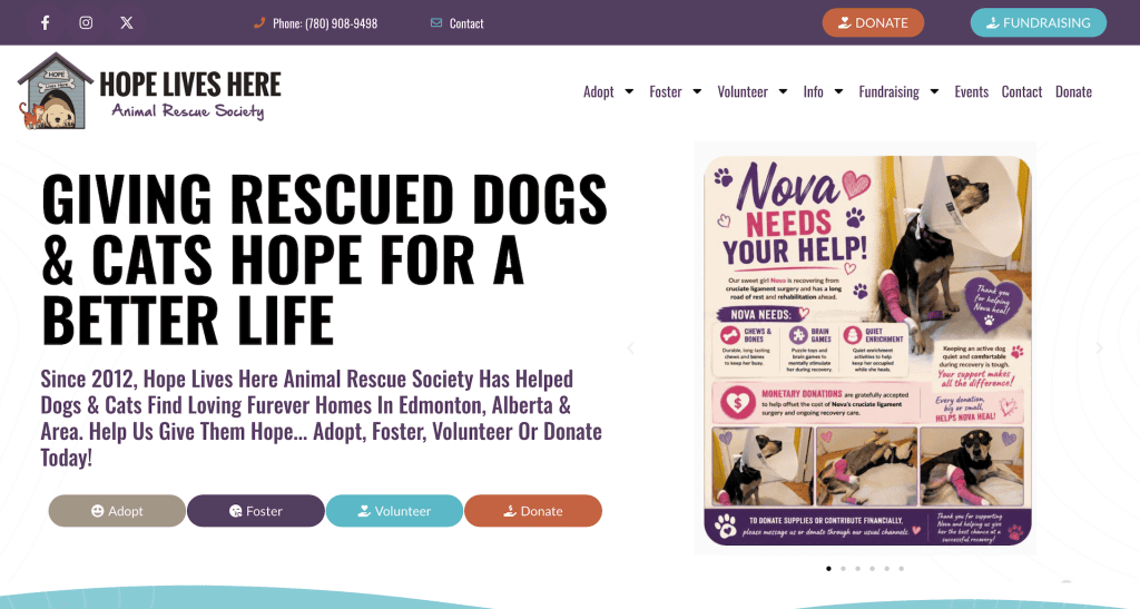 Edmonton Animal Rescue – Adopt Dogs & Cats - Hope Lives Here Animal_ - [hopeliveshererescue.com]